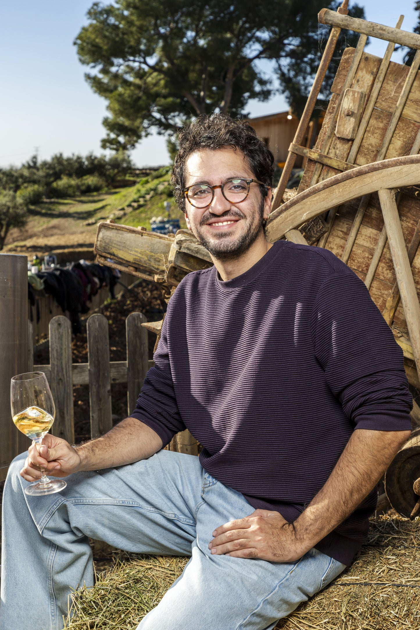 Cata de medicinas alcohólicas