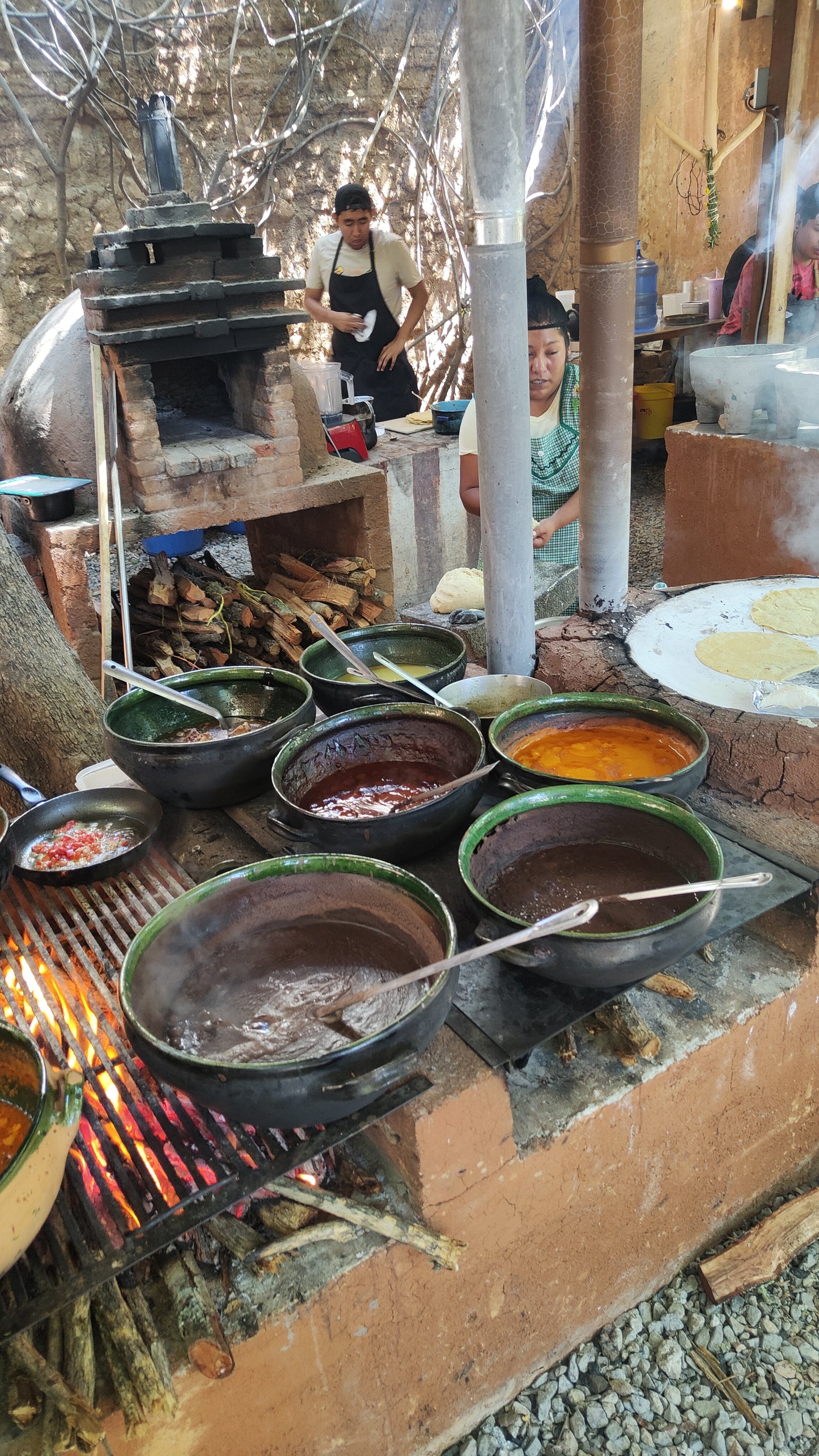 CDMX: CURSO INTEGRAL DE FERMENTADOS 14h