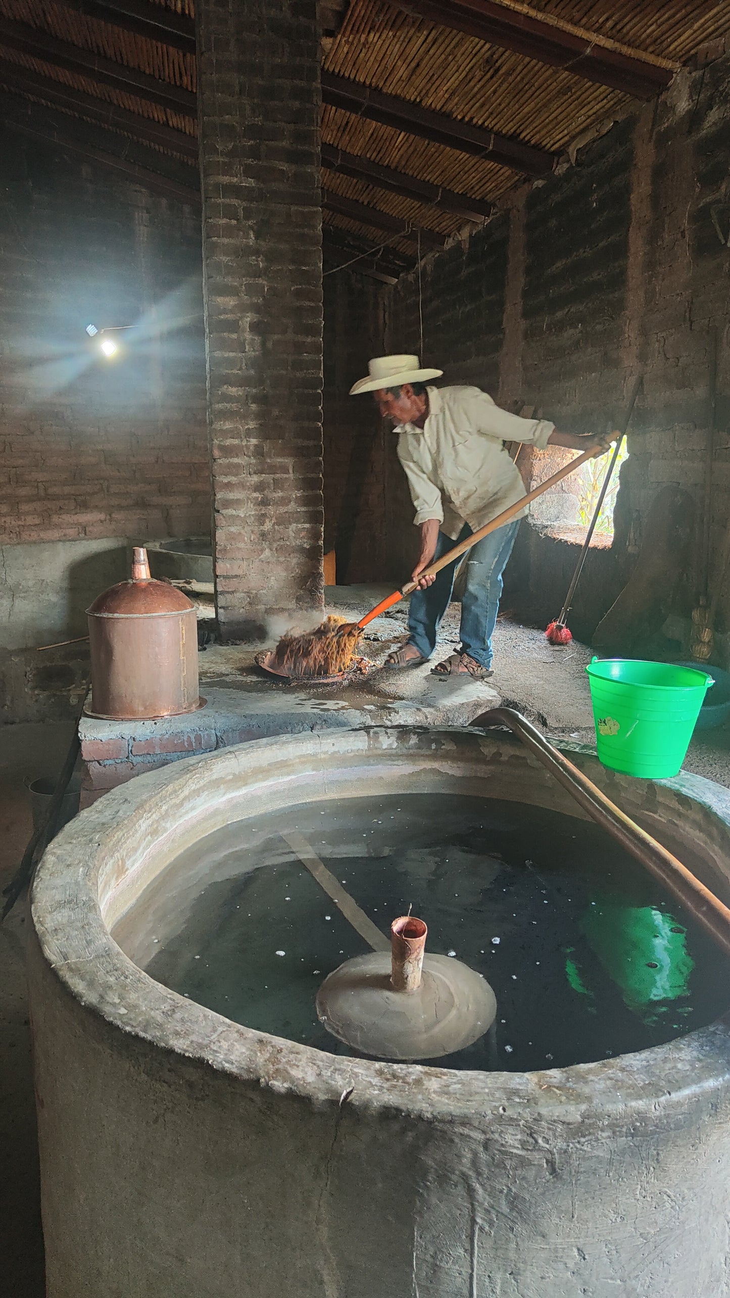 OAXACA: CURSO INTEGRAL DE FERMENTADOS 14h