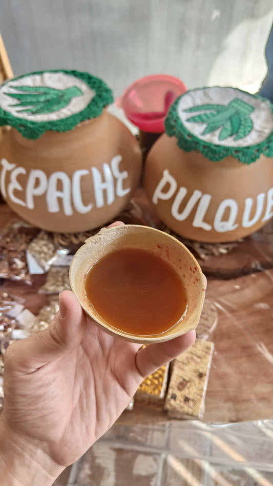 CDMX: CURSO INTEGRAL DE FERMENTADOS 14h