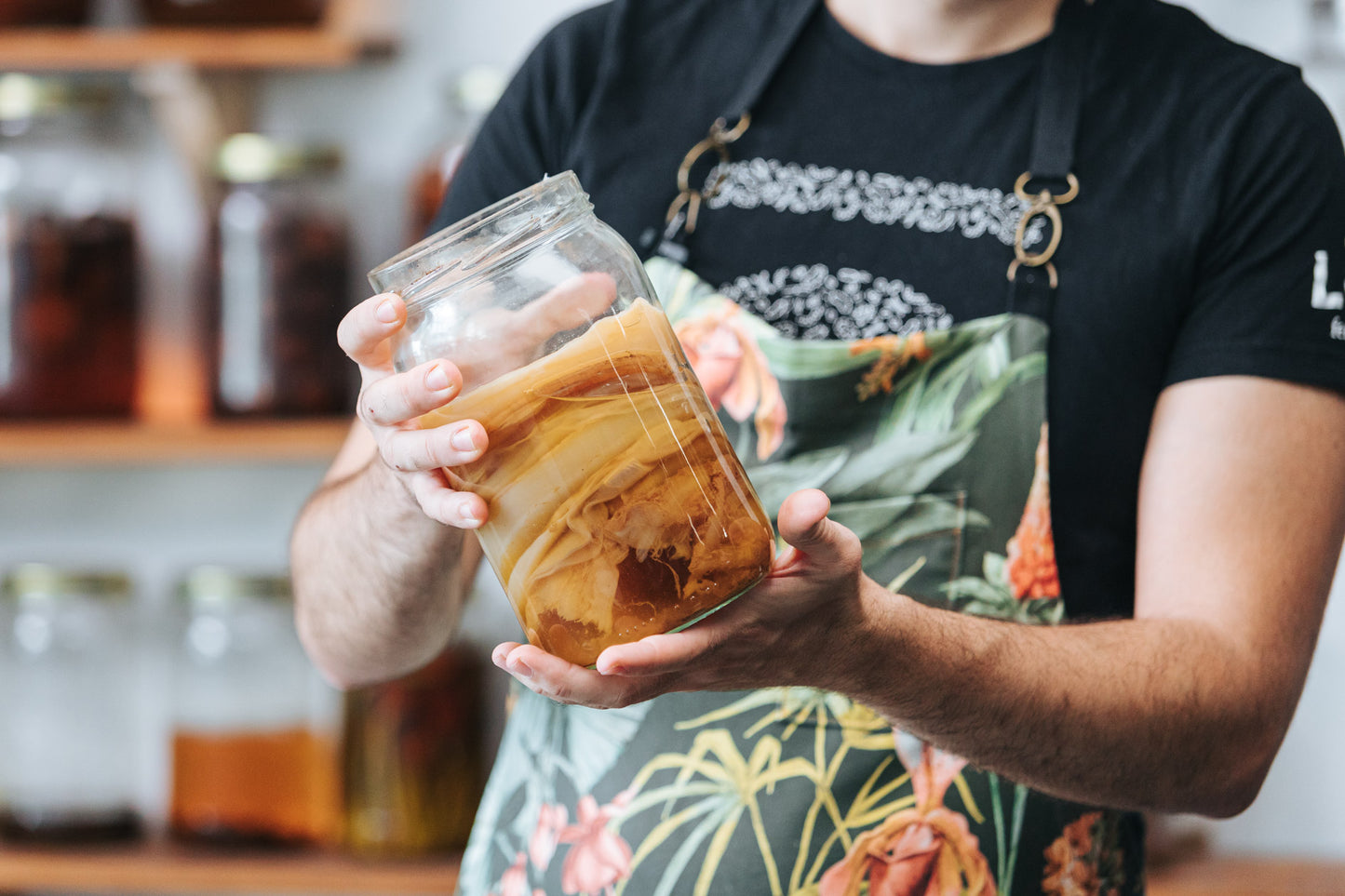 Curso de kombucha
