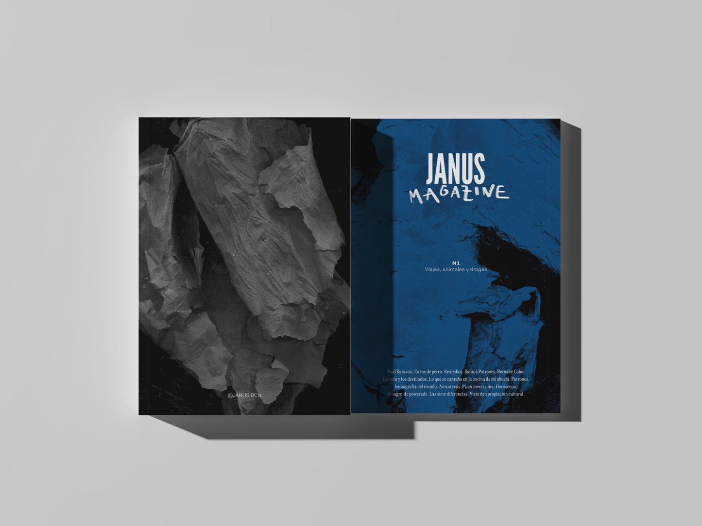 JANUS magazine: 1