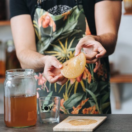 Curso de kombucha