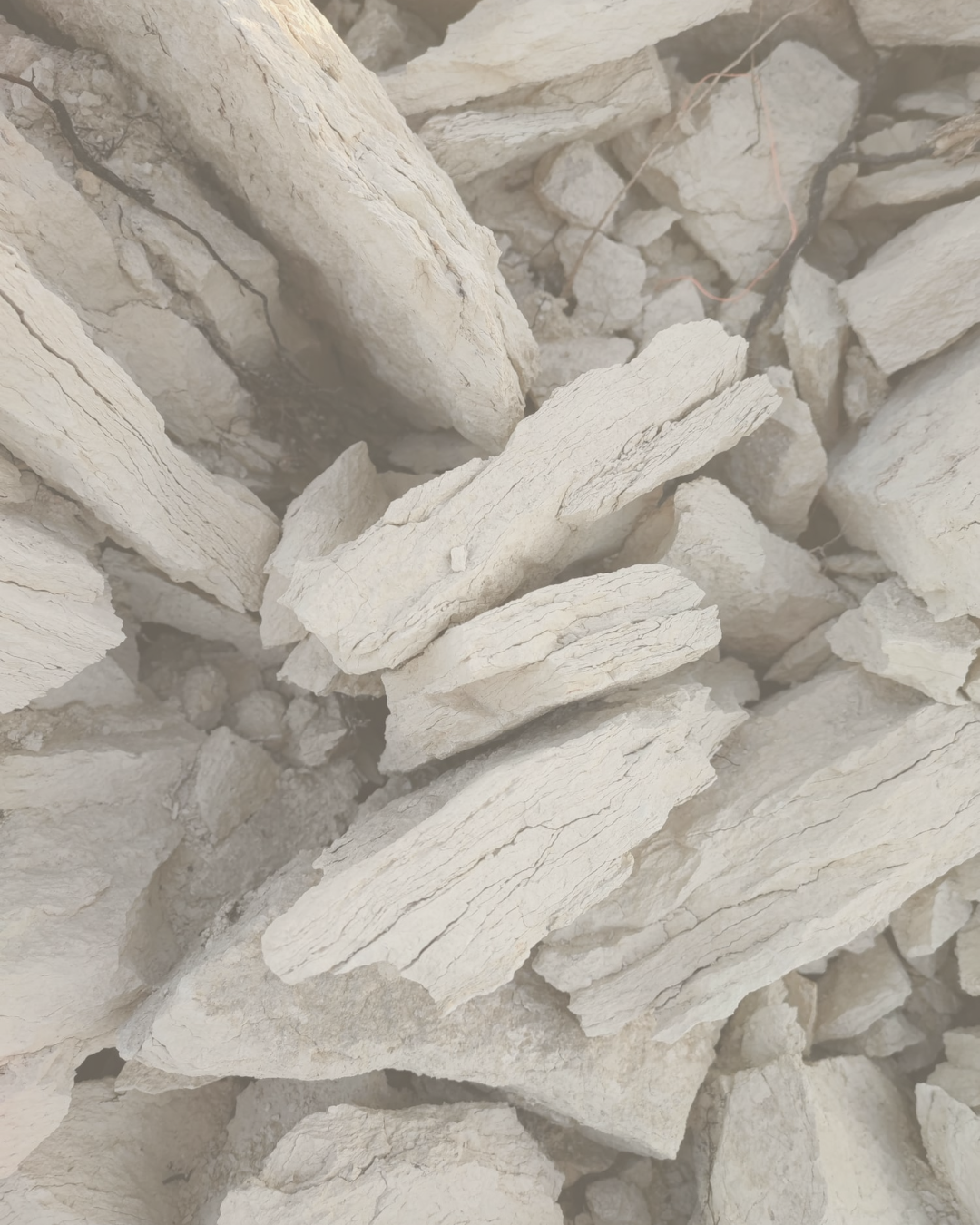 Biológica & Oxidativa