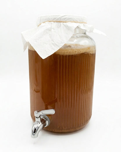SCOBY de Kombucha 300 ml