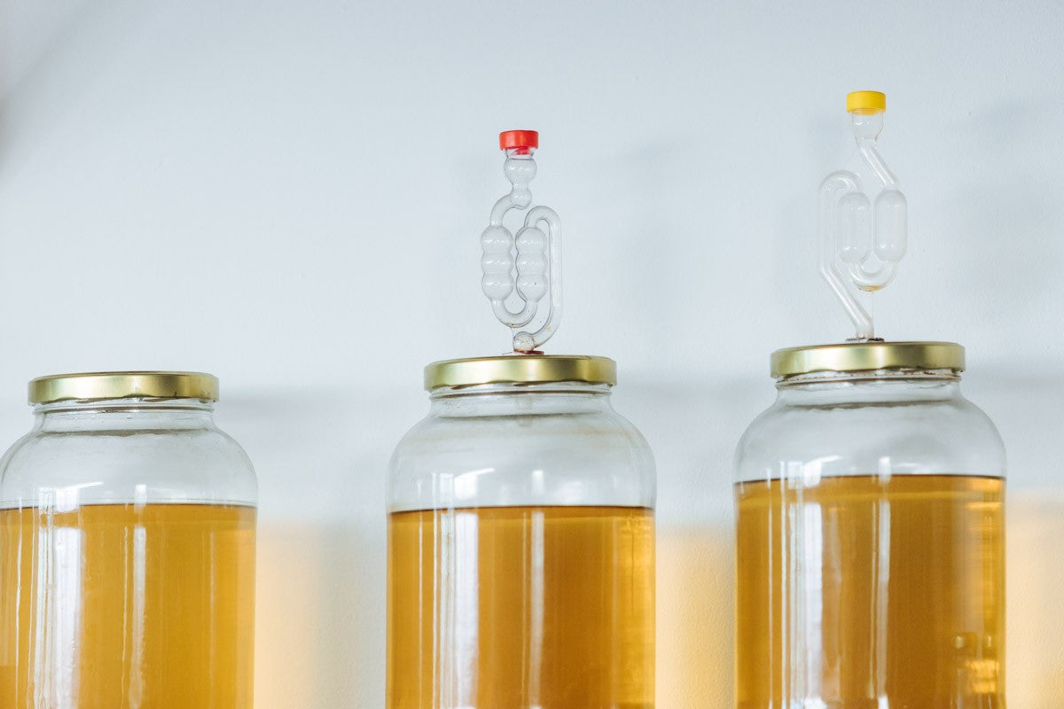 Curso de Hidromiel y otras bebidas fermentadas