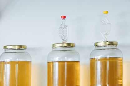 Curso de Hidromiel y otras bebidas fermentadas