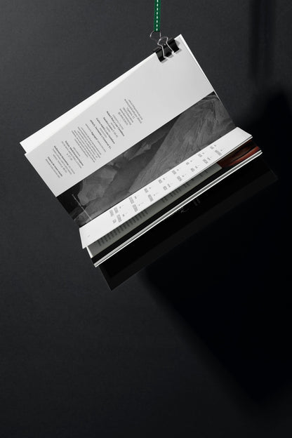 JANUS magazine: 1