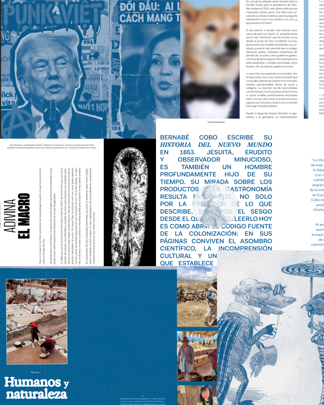 JANUS magazine: 1